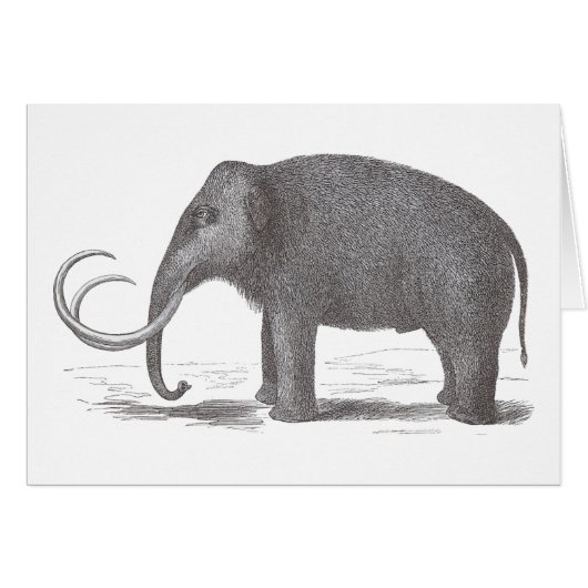Woolly Mammoth Extinct Mastodon Antique Print (Front Horizontal)