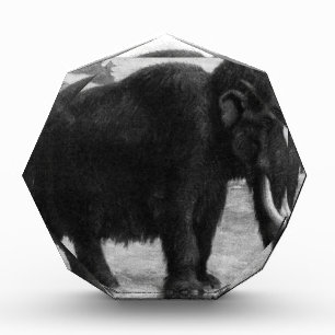 Woolly Mammoth Mod Destiny Award