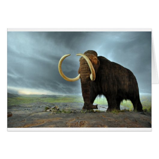 Woolly Mammoth Mod Destiny Cards (Front Horizontal)