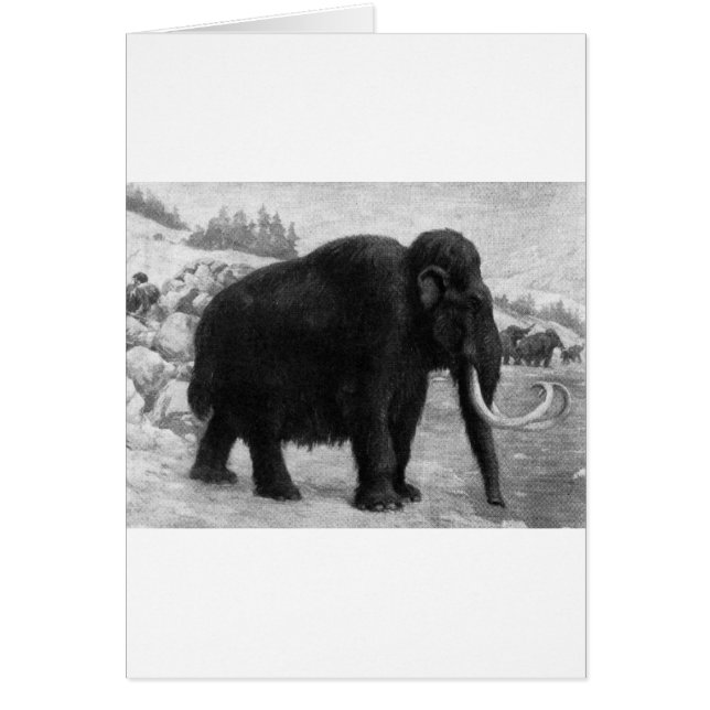 Woolly Mammoth Mod Destiny Cards (Front)