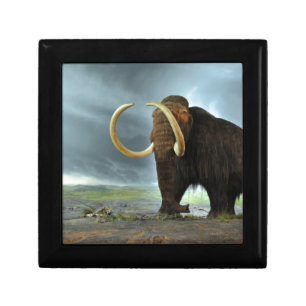 Woolly Mammoth Mod Destiny Jewelry Box