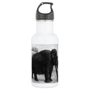 Woolly Mammoth Mod Destiny Stainless Steel Water Bottle