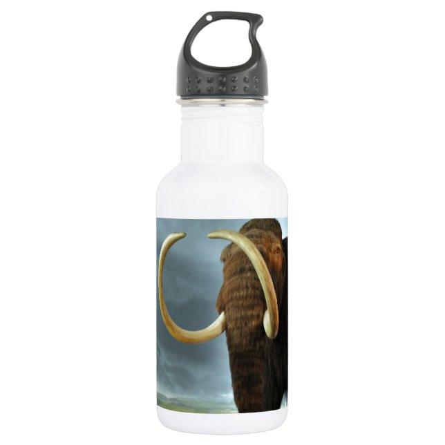 Woolly Mammoth Mod Destiny Water Bottle (Front)