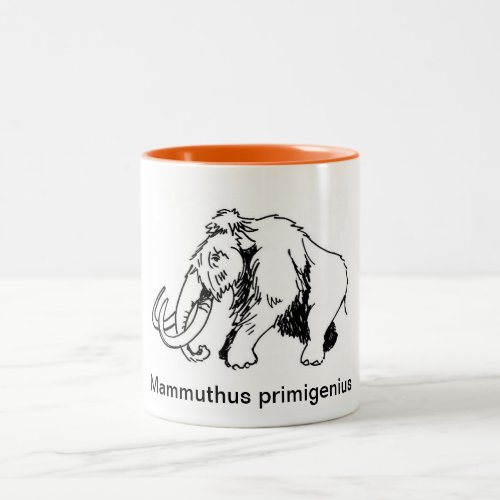 Woolly Mammoth Mug Scientific Name