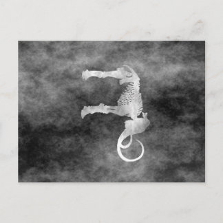 woolly mammoth postcard