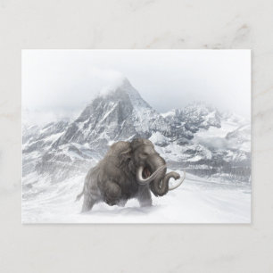 Woolly Mammoth Prehistoric Animal ice age  Postcard
