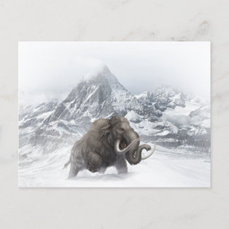 Woolly Mammoth Prehistoric Animal ice age  Postcard