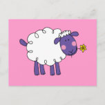 Woolly sheep postcard