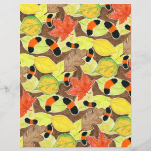 Woollybear Caterpillar