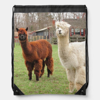 Wooly Alpacas ~ Backpack