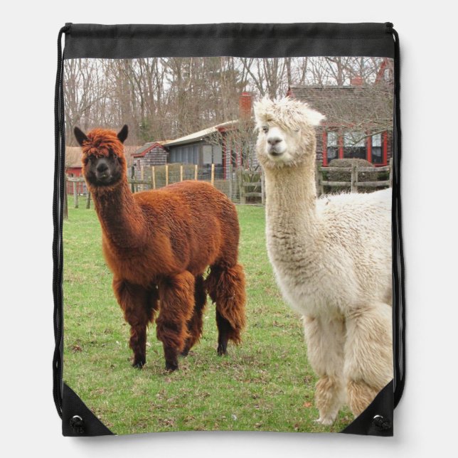 Wooly Alpacas ~ Backpack (Front)