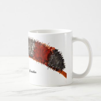Wooly Bear Caterpillar Mug by RF_Design_Studio at Zazzle