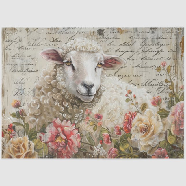 Wooly Sheep Tissue Paper (Front)