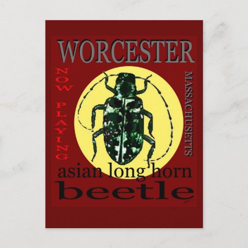 Worcester Long Horned beetle Postcard