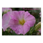 Words cannot express... (Front Horizontal)