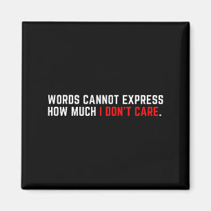 Words Cannot Express How Much I Don't Care  Magnet