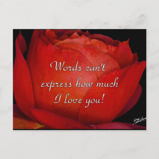 Words Can't Express Postcard