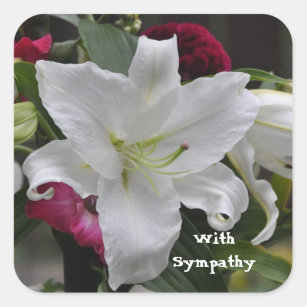 Words of Sympathy by Janz White Lily Square Sticker