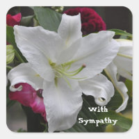 Words of Sympathy by Janz White Lily