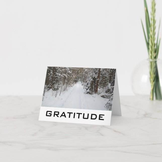 Words Of Wisdom:  Gratitude Cards (Front)