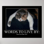 Words To Live By Poster at Zazzle