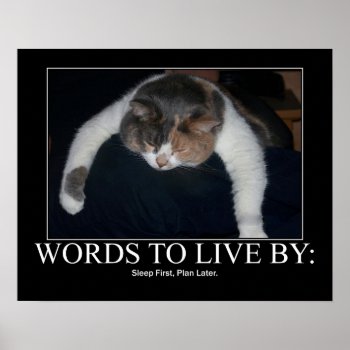 Words To Live By Poster by artisticcats at Zazzle