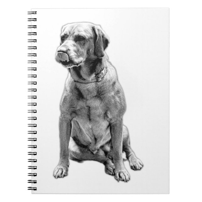 Words Watched Over Notebook (Front)