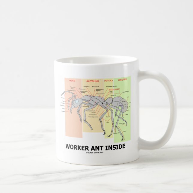 Worker Ant Inside (Ant Anatomy) Coffee Mug (Right)