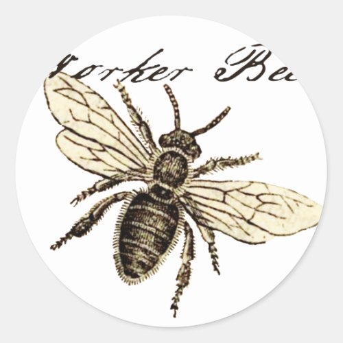 Worker Bee Insect Illustration Classic Round Sticker