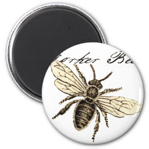 Worker Bee Insect Illustration Magnet