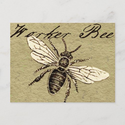 Worker Bee Insect Illustration Postcard