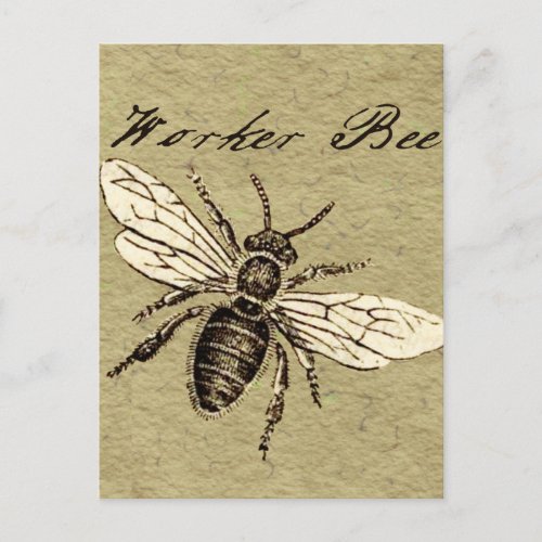 Worker Bee Insect Illustration Postcard