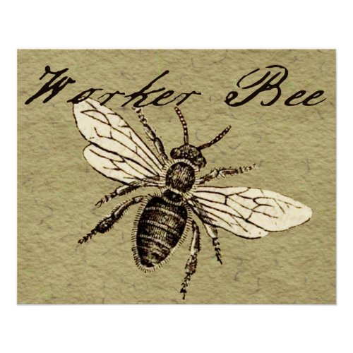 Worker Bee Insect Illustration Poster