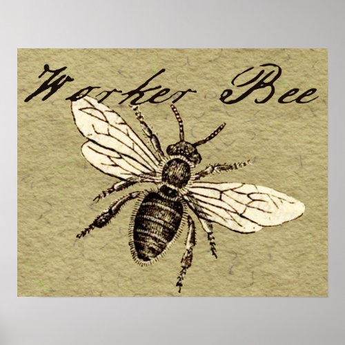 Worker Bee Insect Illustration Poster