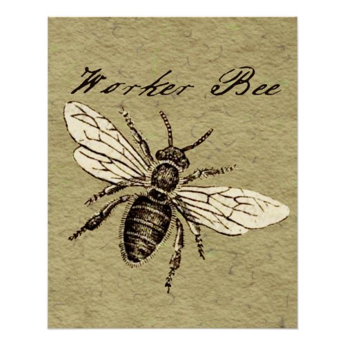 Worker Bee Insect Illustration Poster