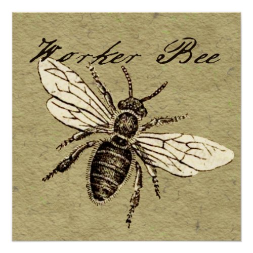 Worker Bee Insect Illustration Poster