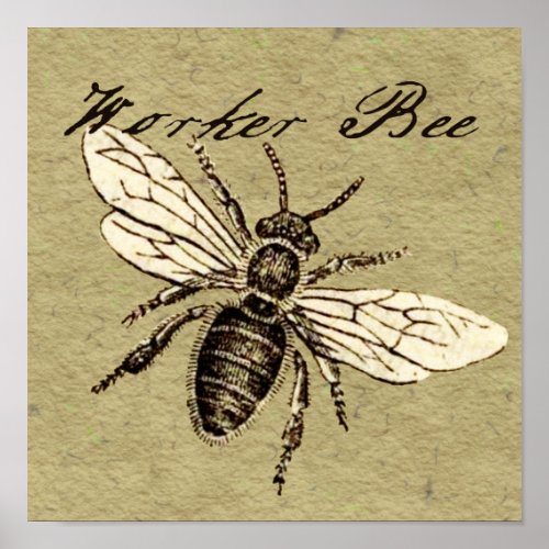 Worker Bee Insect Illustration Poster