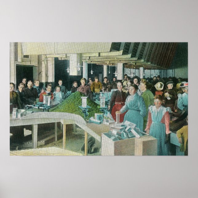 Workers Packing Seeded Raisins at Plant Poster (Front)