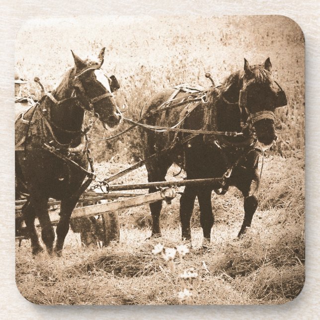 Working Amish Horses Sepia Beverage Coaster (Front)