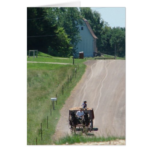 Working Amish Pinto Drafts On the Road Cards (Front)