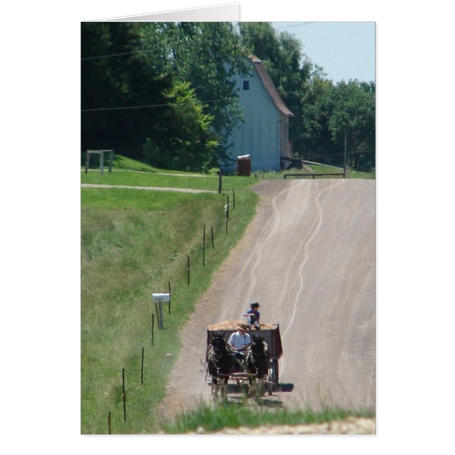 Working Amish Pinto Drafts On the Road in Kalona, Cards (Front)