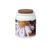Working Bee Daisies Candy Jar