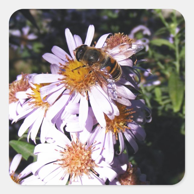 Working Bee Daisies Square Sticker (Front)