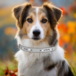 Working Dog Alert Do Not Pet Notice Black And Gray Pet Collar