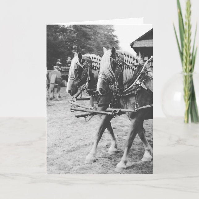 Working Draft Horses in Black and White Card (Front)