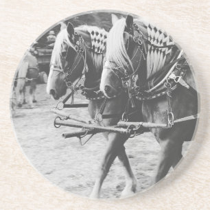 Working Draft Horses in Black and White Drink Coaster