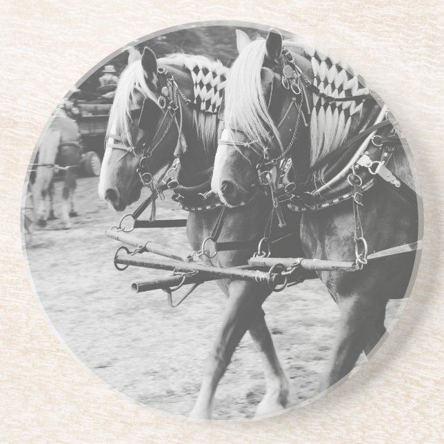Working Draft Horses in Black and White Drink Coaster (Front)