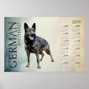 Working German Shepherd Dog - GSD Calendar 2019 Poster