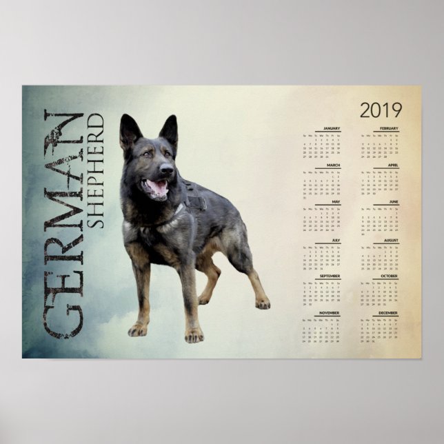 Working German Shepherd Dog  - GSD Calendar 2019 Poster (Front)