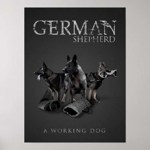 Working German Shepherd Dog  _ GSD Poster